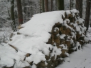 Winterbilder 2007