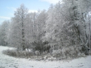 Winterbilder 2007_4