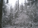Winterbilder 2007_5
