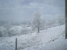 Winterbilder 2007_7