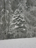 Winterbilder 2007_8